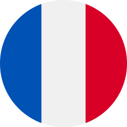 French flag icon for bilingual French tutoring for kids